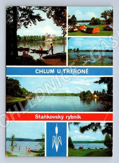 Pohlednice Chlum u Třeboně Staňkovský rybník (M15037)