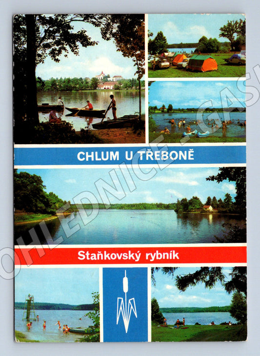 Pohlednice Chlum u Třeboně, Staňkovský rybník (M15040)