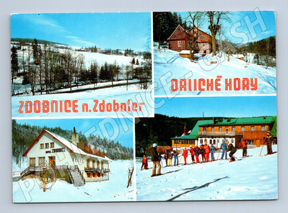 Pohlednice Zdobnice – Orlické hory, zimní krajina 1979 (M15062)