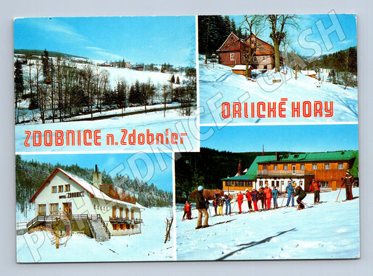 Pohlednice Zdobnice – Orlické hory, zimní krajina 1979 (M15062)