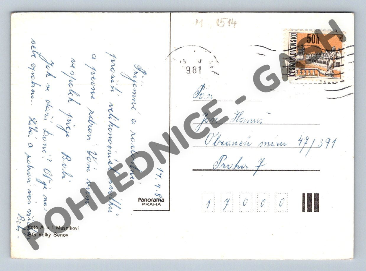 Pohlednice Velikonoční magnolie vejce a košík 1981 (M1514)