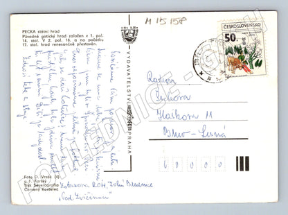 Pohlednice Hrad Pecka – více pohledů (M15158)