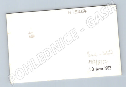 Pohlednice Zámek Dobříš – zahrada 1962 (M15254)