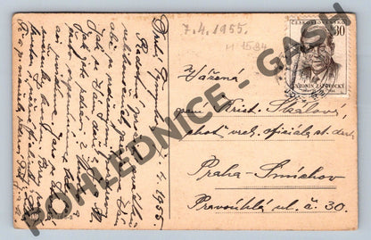 Pohlednice Velikonoční květy narcisů Československo 1955 (M1534)