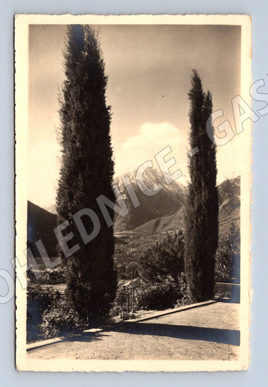 Pohlednice Merano – vegetace, 1930 (M15553)