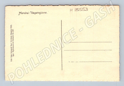 Pohlednice Merano – vegetace, 1930 (M15553)