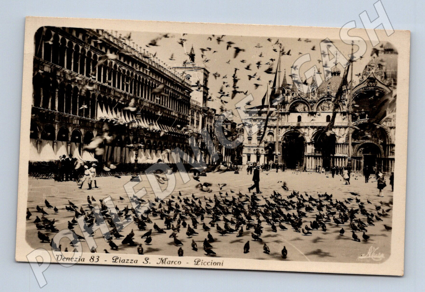 Pohlednice Benátky – San Marco, holubi (M15571)