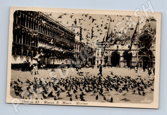 Pohlednice Benátky – San Marco, holubi (M15571)