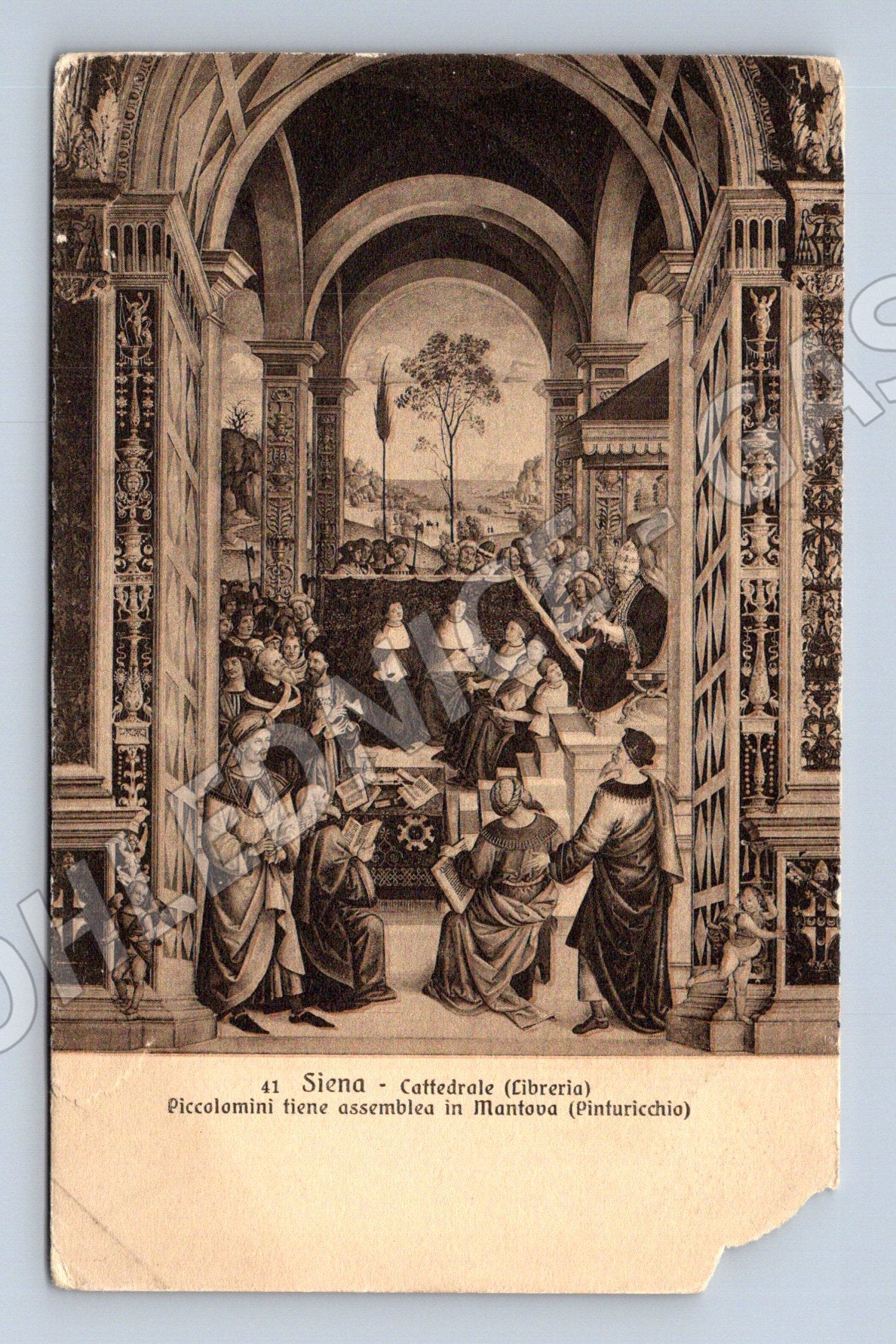 Pohlednice Siena – katedrála, knihovna (M15595)