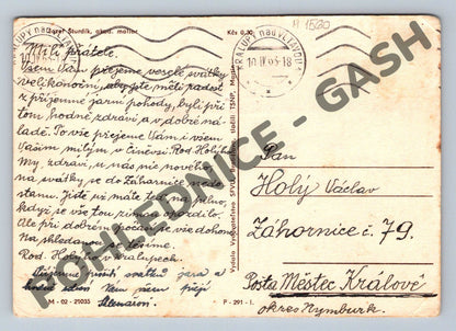 Pohlednice Ptáček Československo 1951 (M1560)