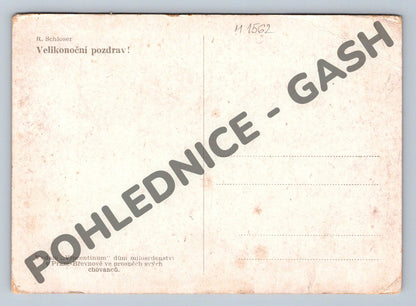Pohlednice Žena v kroji R Schloser etnografie (M1562)