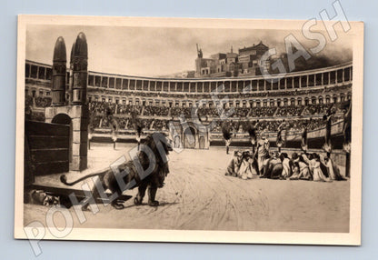 Pohlednice Řím – Circo Massimo, lev v aréně (M15681)
