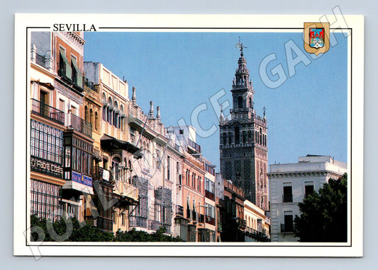 Pohlednice Sevilla Giralda Plaza San Francisco (M15797)