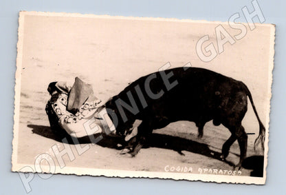 Pohlednice Býčí zápasy Cogida aparatosa stará (M15815)