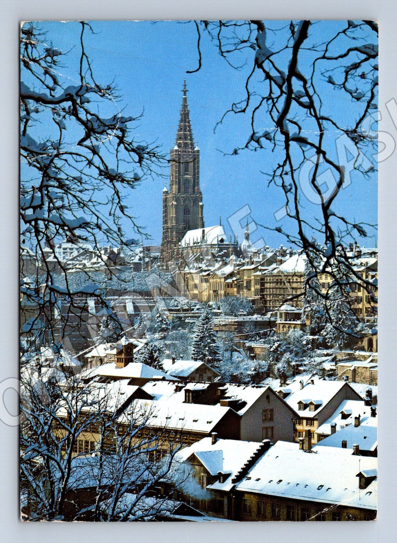 Pohlednice Bern Münster zimní pohled Švýcarsko (M15866)