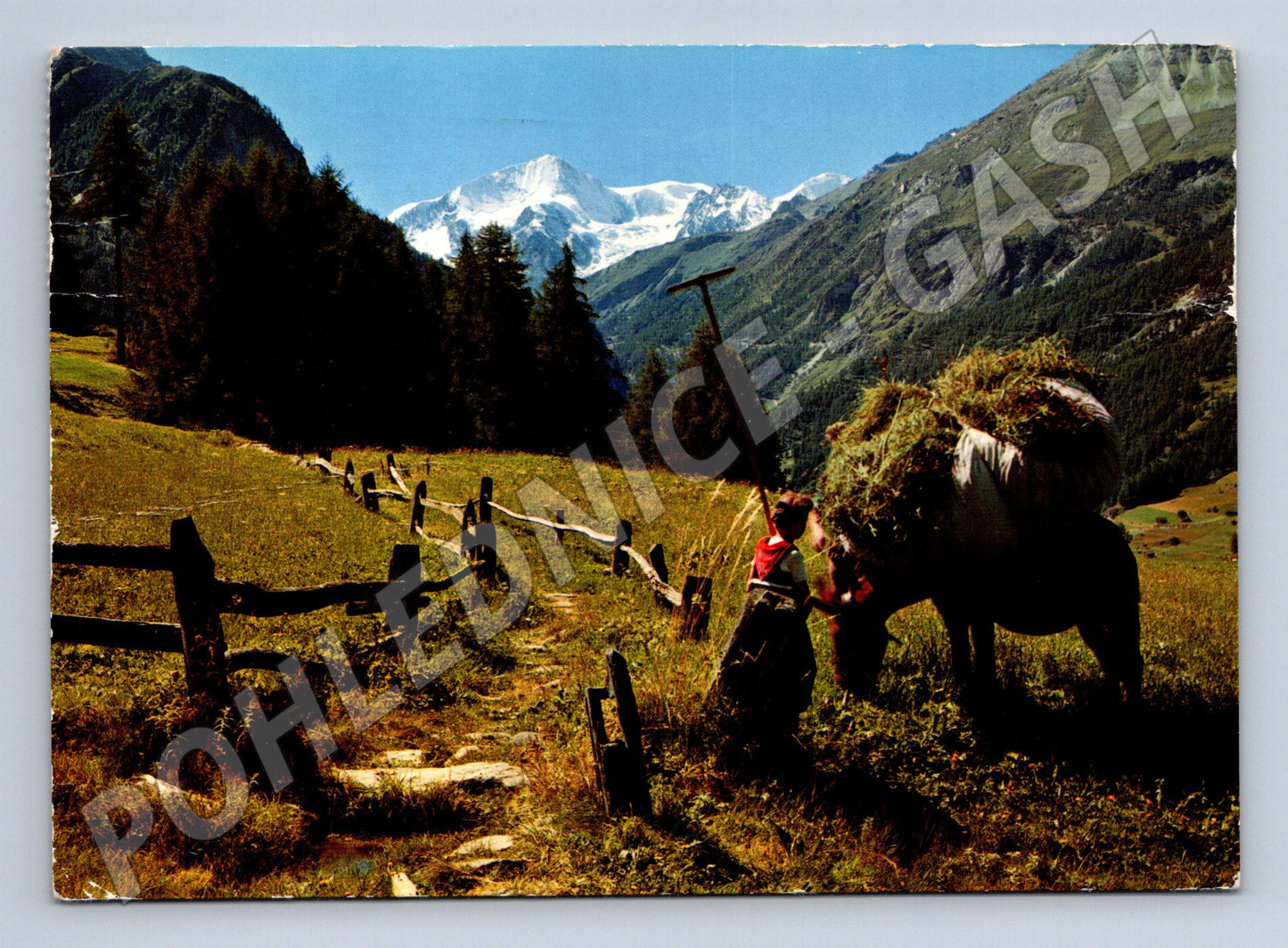 Pohlednice Valais Mont Collon Švýcarsko 1970 (M15872)