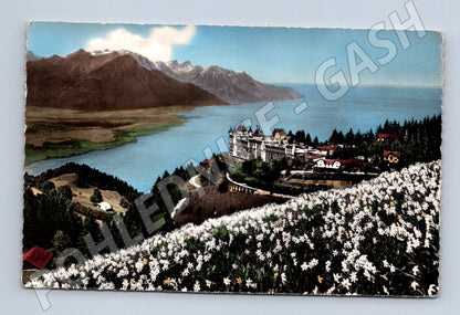 Pohlednice Caux Palace Montreux Švýcarsko (M15898)