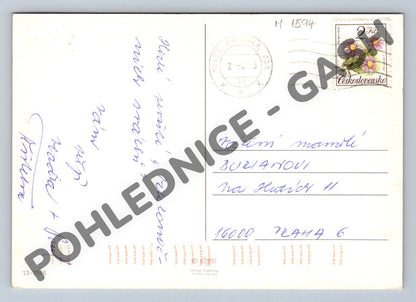 Pohlednice Kuřátko retro ČSSR 1983 (M1594)