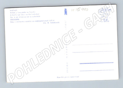 Pohlednice Poznaň katedrála letecký pohled (M15980)