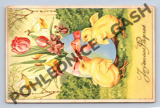 Pohlednice Kuřátka květiny Joyeuses Pâques 1951 (M1603)