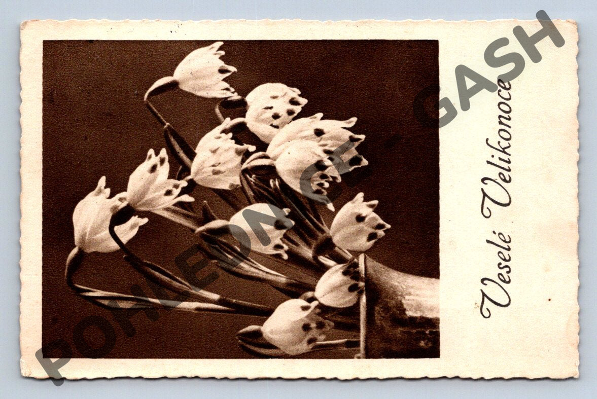 Pohlednice Konvalinky Československo 1938 (M1606)