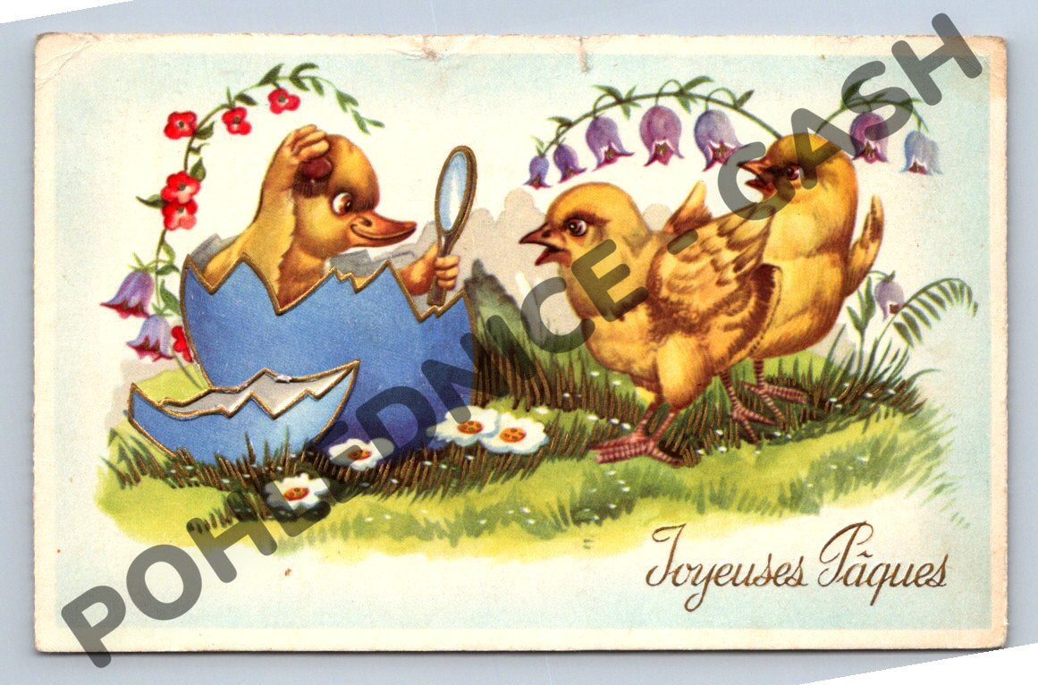 Pohlednice Francie 1953 kuřátka Joyeuses Pâques (M1613)