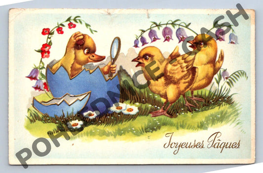 Pohlednice Francie 1953 kuřátka Joyeuses Pâques (M1613)