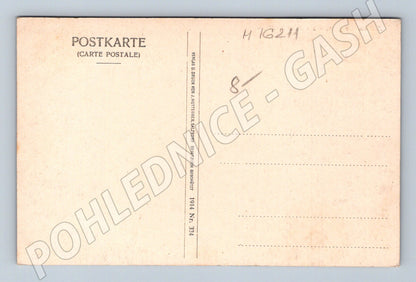 Pohlednice Zell am See Steinernes Meer černobílá 1914 (M16211)