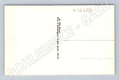 Pohlednice Vídeň Stephansdom Singertor cca 1920 Rakousko (M16253)