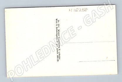 Pohlednice Vídeň Stephansdom cca 1921 25 Rakou (M16258)