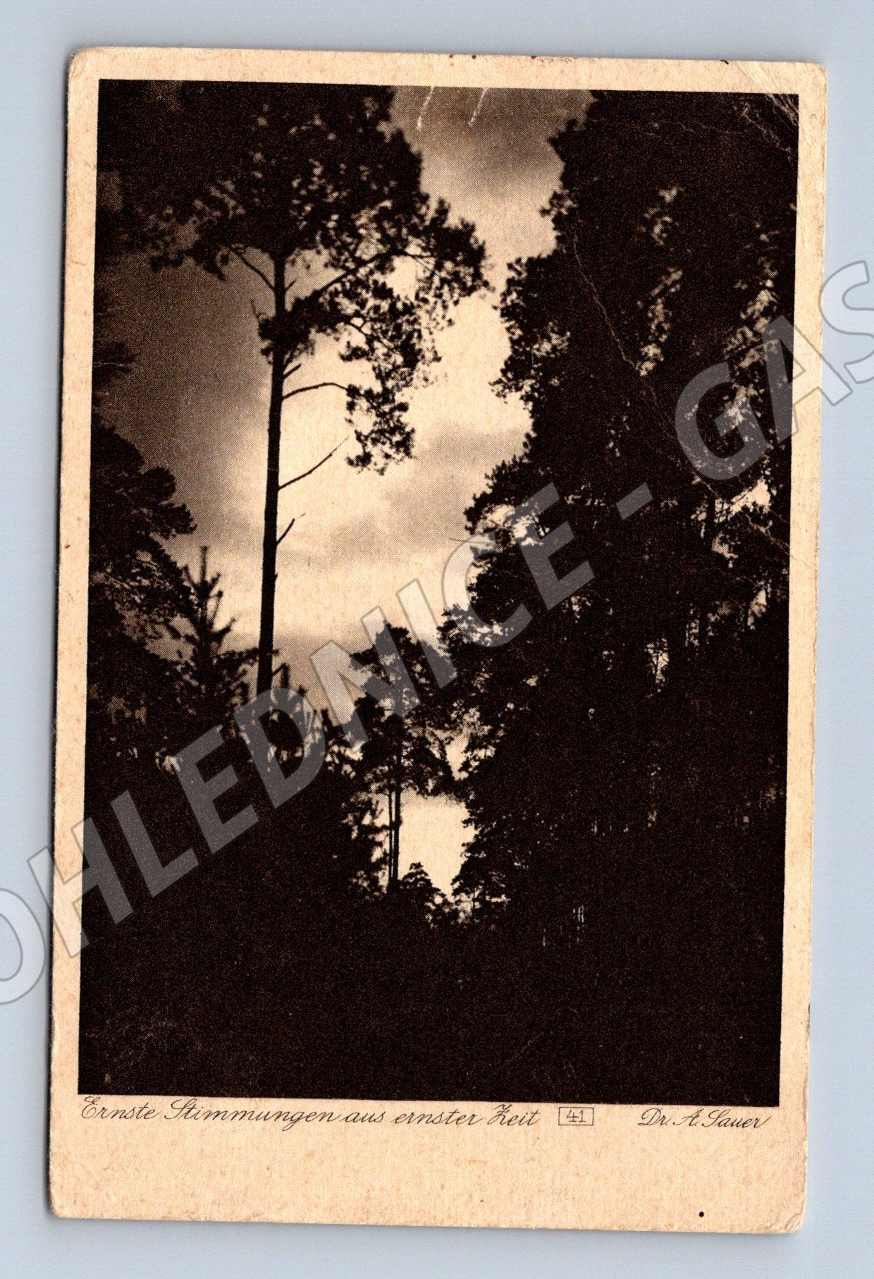 Pohlednice ČR umělecká fotografie Rakousko Uhersko (M16275)