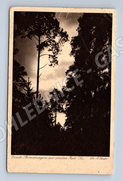 Pohlednice ČR umělecká fotografie Rakousko Uhersko (M16275)