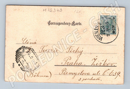 Pohlednice Kahlenberg Hôtel kolorovaná Rakousko prošlá (M16343)