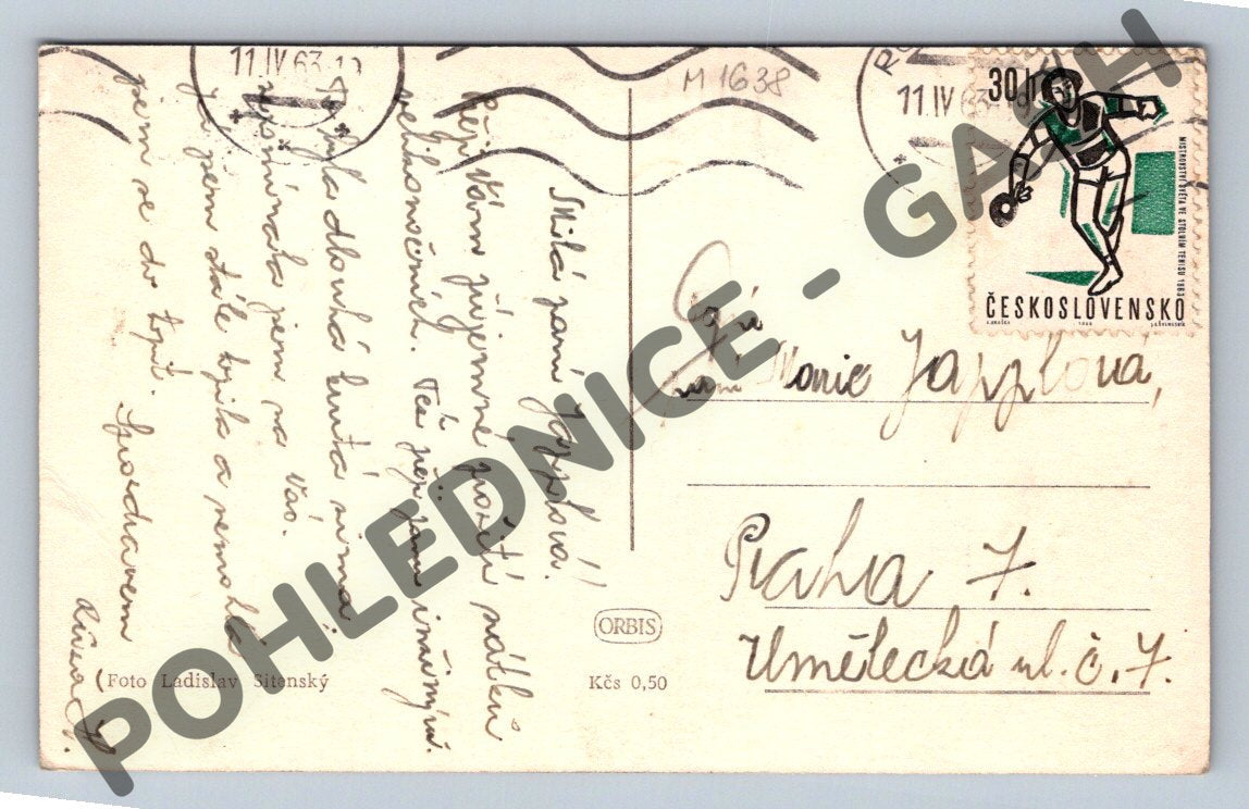 Pohlednice ovce na louce Ladislav Sitenský 1963 (M1638)