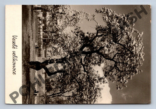 Pohlednice Praha Kampa Veselé Velikonoce J Kejř Orbis (M1640)