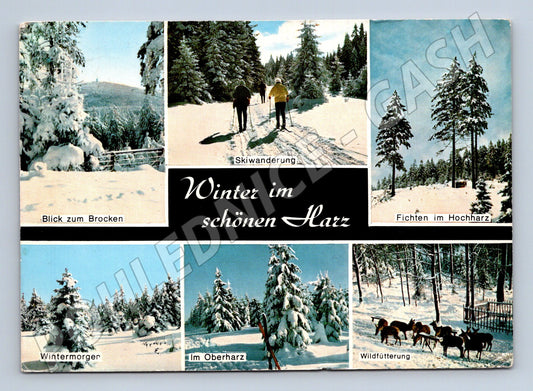 Pohlednice Německo Harz zimní krajina 70. léta prošlá (M16440)