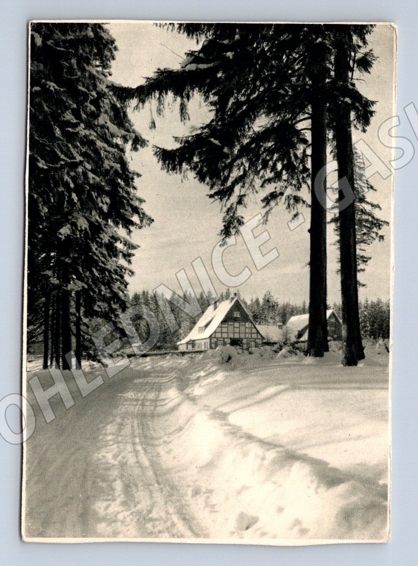 Pohlednice Weihnachtswald 1965 zimní Německo neprošlá (M16479)