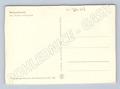 Pohlednice Weihnachtswald 1965 zimní Německo neprošlá (M16479)