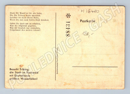 Pohlednice Triberg Německo vodopády Schwarzwald 1939 (M16480)