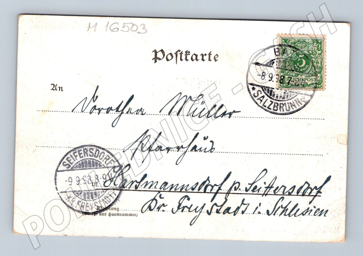 Pohlednice Pozdrav z lázní Salzbrunn kolorovaná 1898 (M16503)