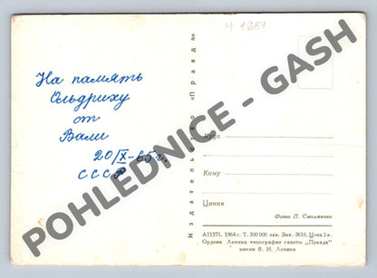Pohlednice SSSR květ s včelami Smoljakov 1964 (M1651)