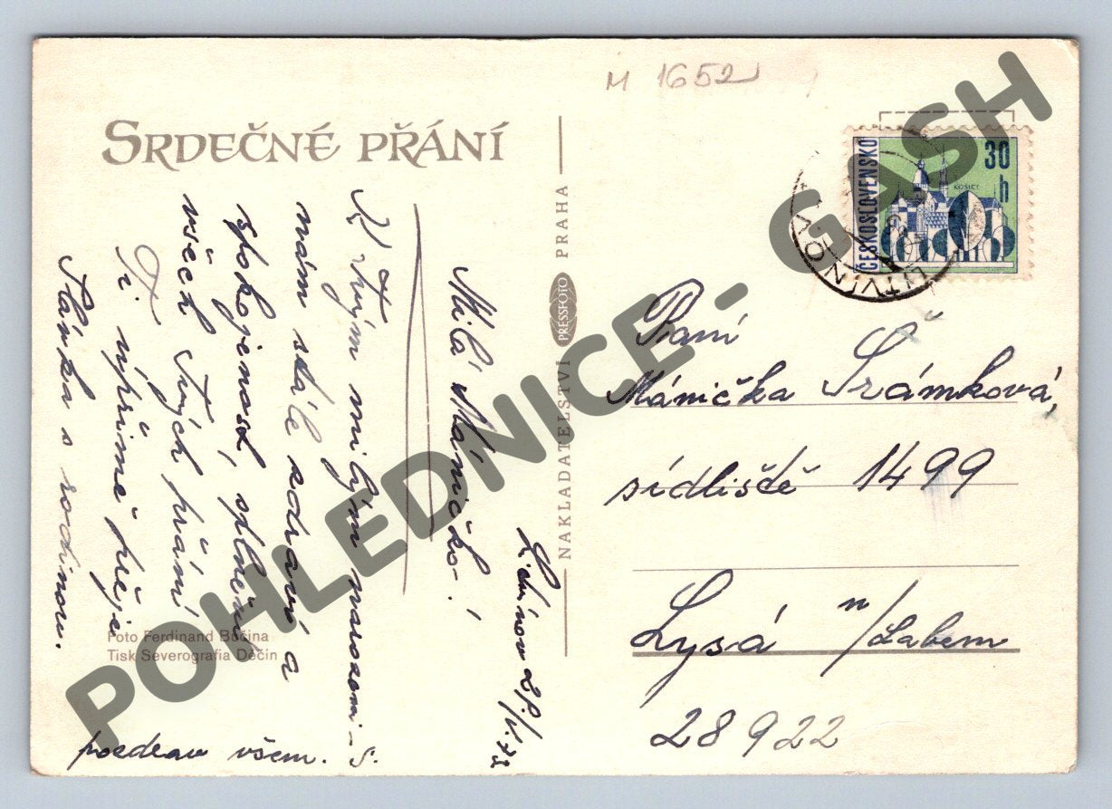 Pohlednice lední medvěd z květin Mnichov Německo (M1652)