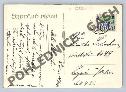Pohlednice lední medvěd z květin Mnichov Německo (M1652)