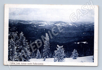 Pohlednice Arber Falkenstein zimní krajina (M16543)