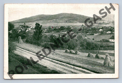 Pohlednice Bořitov Borstendorf PP 1943 (M1657)