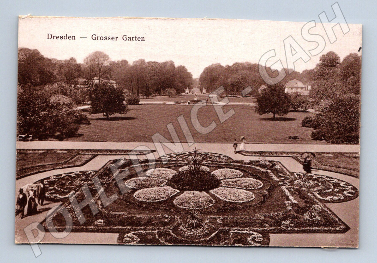 Pohlednice Dresden Grosser Garten (M16592)