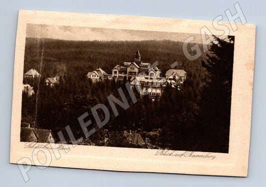 Pohlednice Schierke Harz Barenberg (M16618)