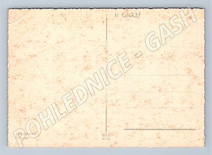 Pohlednice Scheveningen panorama pláž Nizozemsko (M16631)