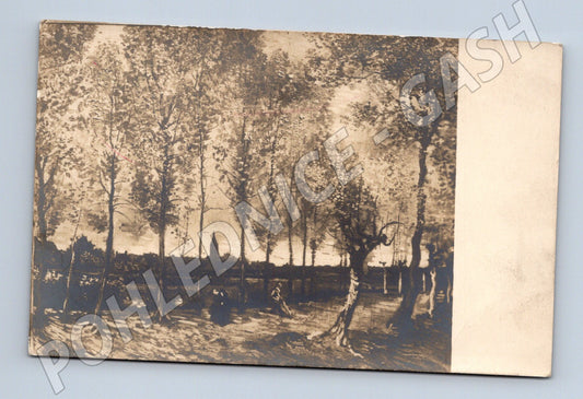 Pohlednice Rotterdam 1913 Vine View Sophs (M16658)