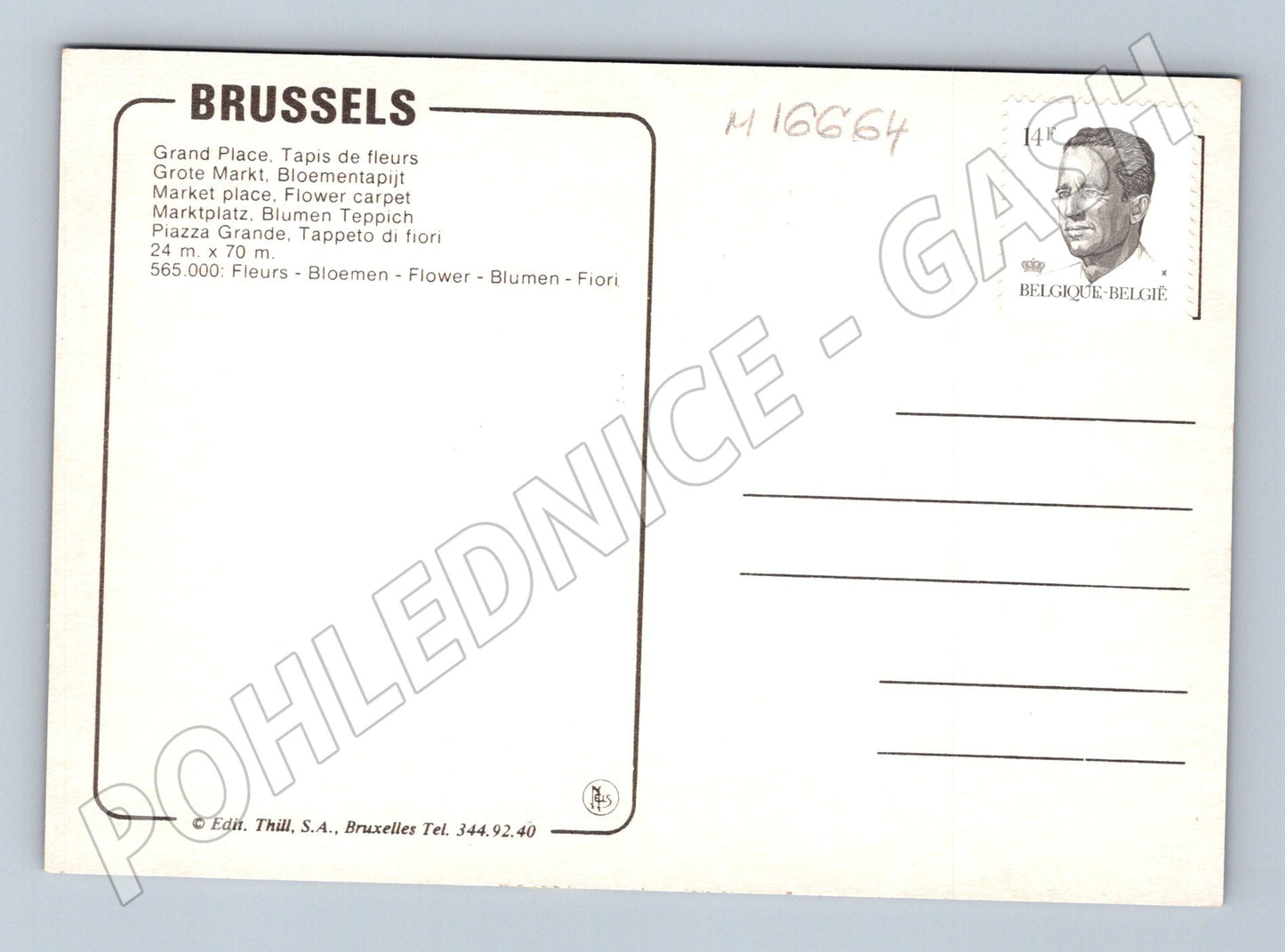 Pohlednice Brusel Grand Place květinový koberec noc (M16664)